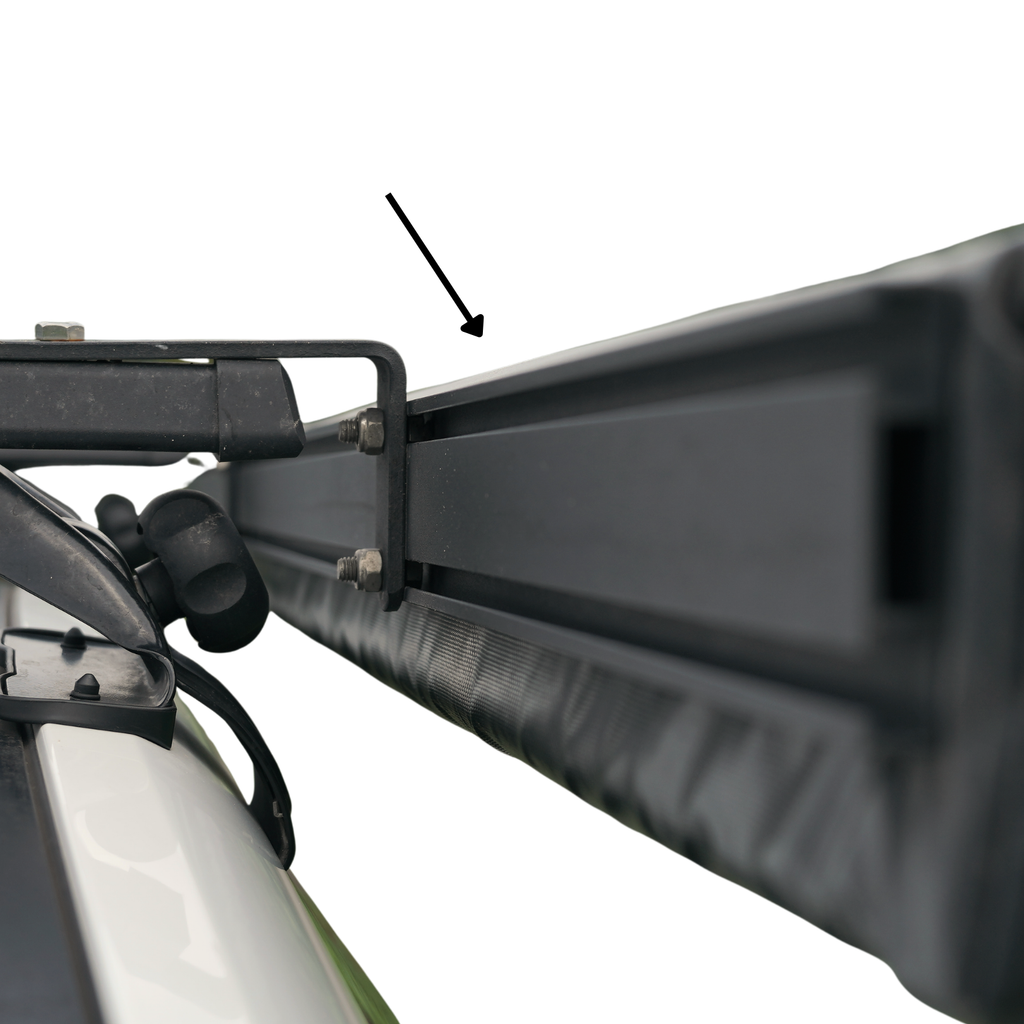 Back Frame 2