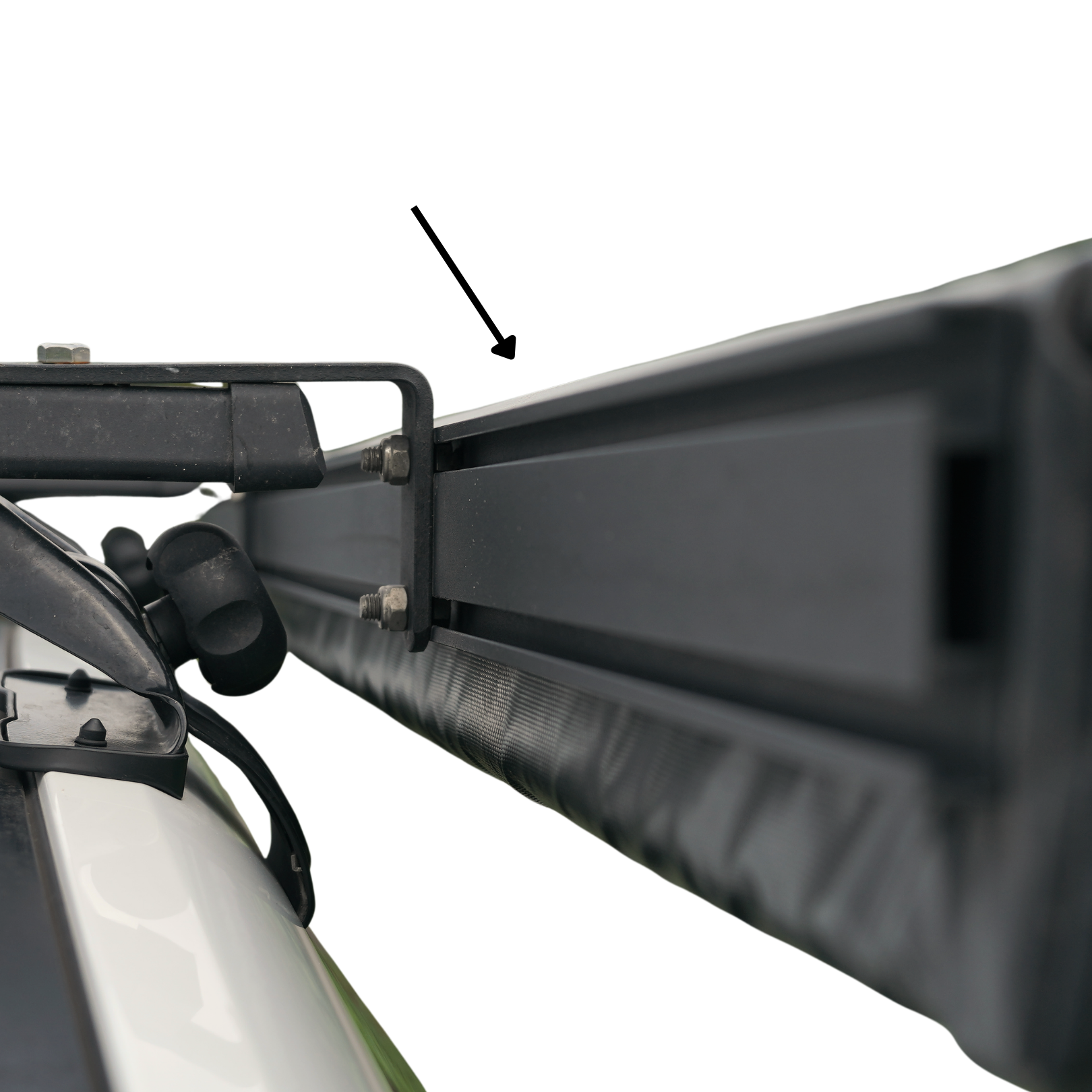 Back Frame 2